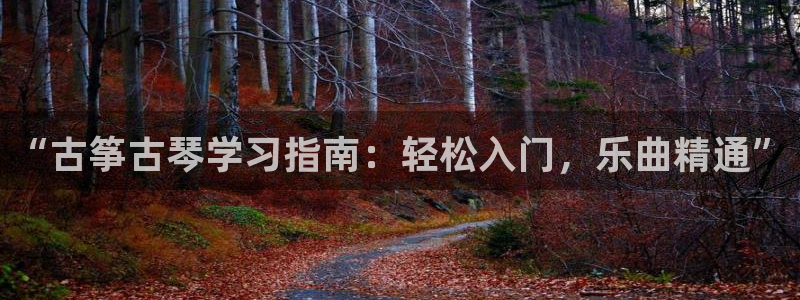 凯发k8娱乐平台:“古筝古琴学习指南:轻松入门,乐曲精通”