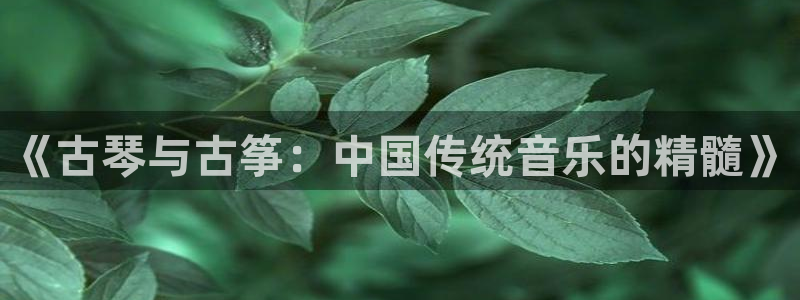 凯发是正规平台吗:《古琴与古筝:中国传统音乐的精髓》