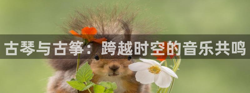 凯发国际娱乐官网k8:古琴与古筝:跨越时空的音乐共鸣