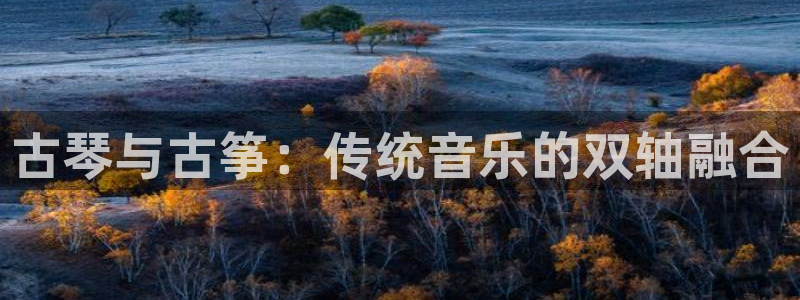 凯发旗舰平台:古琴与古筝:传统音乐的双轴融合